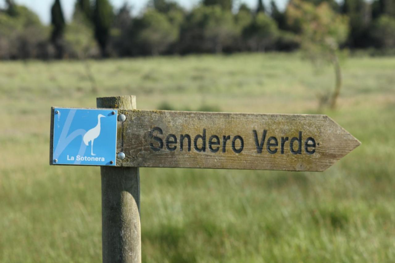 Casa Mirlo Villa Montmesa Eksteriør billede